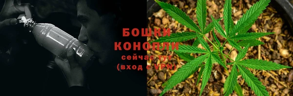 гидра Дмитров
