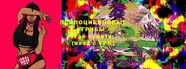 гидра Дмитров