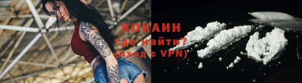 дмт Ельня