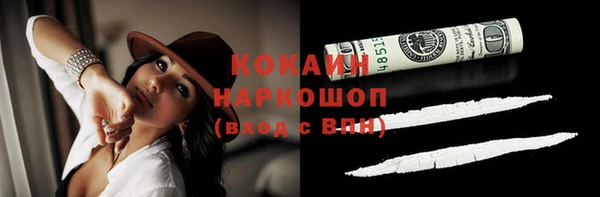 дурь Дмитриев