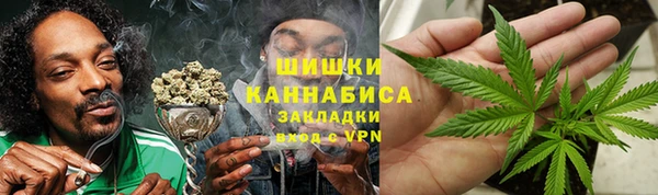 гидра Дмитров