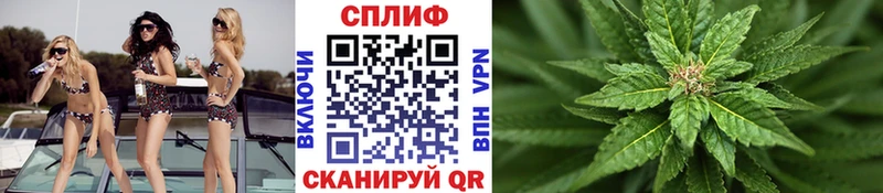 Купить закладки  Волжский  Бошки марихуана конопля 